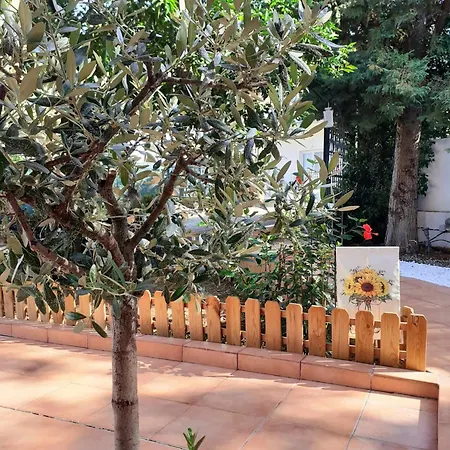 Villa Maria Papada's Traditional